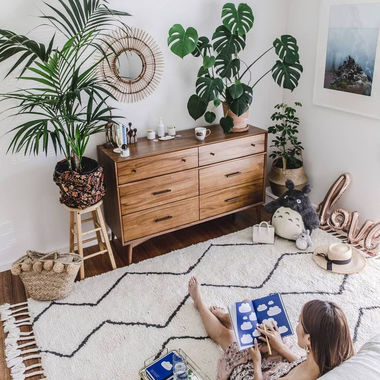 Фитодизайн интерьера – как разместить комнатные растения в квартире и правильно за ними ухаживать